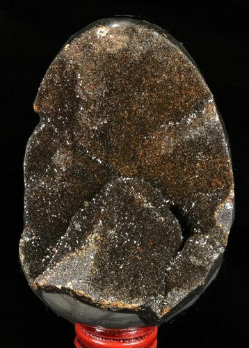 Septarian Dragon Egg Geode - Black Crystals #57457